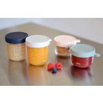 Béaba Üveg tároló doboz szett 4 db - 150 ml Rózsaszín - 150 ml Eukaliptus - 250 ml Halvány köd - 250 ml Sötétkék - 