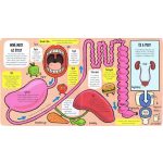 Kis felfedezők - A csodálatos test