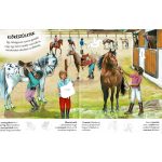 Milyen érdekes a világ… Lovak
