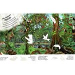 Milyen érdekes a világ… Vadállatok