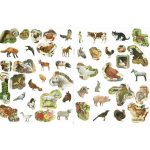 Milyen érdekes a világ… A tanya állatai