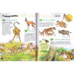 500 érdekesség az állatokról