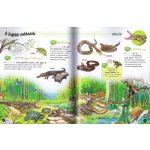 500 érdekesség az állatokról