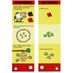 Tornáztasd az agyadat - 5-6 éveseknek