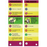 Tornáztasd az agyadat - 10-11 éveseknek