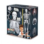 Összeépíthető emberi csontváz 85 cm-es BUKI