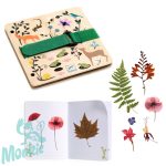 Csináld magad - Kis botanikus - Budding botanist