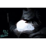 Flow Amsterdam – Björn Kivetítő