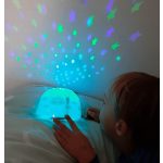 Csillagkivetítő, FELHŐ