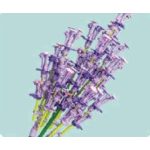 Bouquet virág építőkocka, Levendula Nice Group