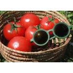 Olivio & Co polarizált napszemüveg 0-18 hó - Cactus green