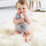 Skip Hop babakocsi játék Hold