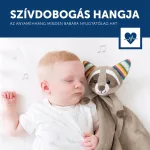 Zazu – Robin Mosómedve, Szundikendő Sírásérzékelő Modullal